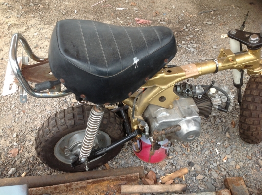 ขาย. มังกี แท้