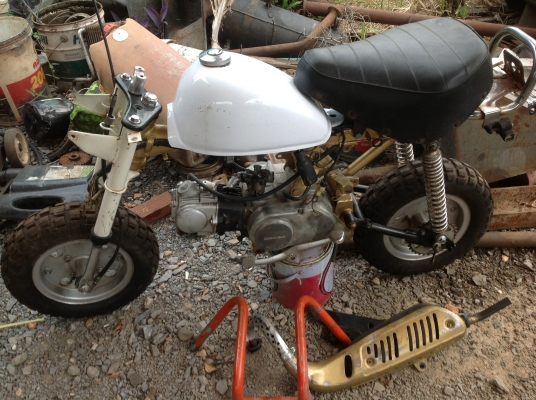 ขาย. มังกี แท้