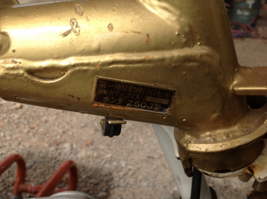 ขาย. มังกี แท้