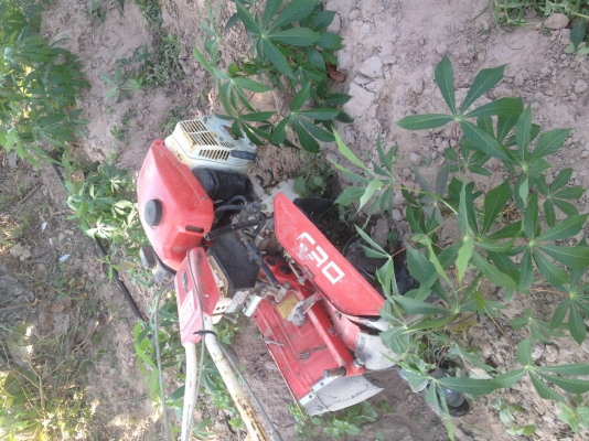 ขายรถพรวนดินเครื่องแน่น โรบิน Rc 15 มี 2 เกียร์เดินหน้า 2 เกียร์ถอยหลัง ขายรถพรวนดินเครื่องแน่น โรบิน Rc 15 มี 2 เกียร์เดินหน้า 2 เกียร์ถอยหลัง