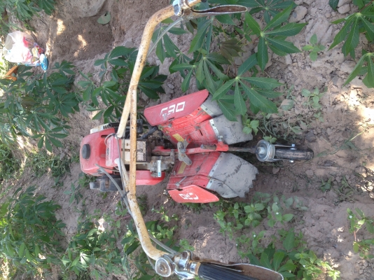 ขายรถพรวนดินเครื่องแน่น โรบิน Rc 15 มี 2 เกียร์เดินหน้า 2 เกียร์ถอยหลัง ขายรถพรวนดินเครื่องแน่น โรบิน Rc 15 มี 2 เกียร์เดินหน้า 2 เกียร์ถอยหลัง