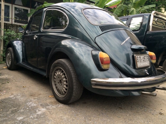 ขายเต่า1970