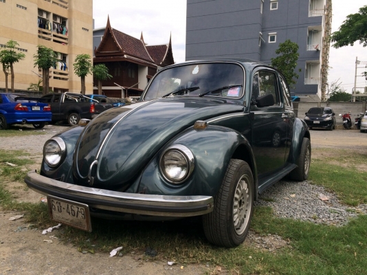 ขายเต่า1970