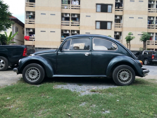 ขายเต่า1970