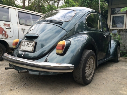 ขายเต่า1970