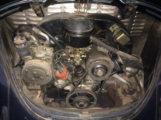 ขายเต่า1970