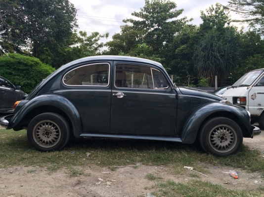 ขายเต่า1970