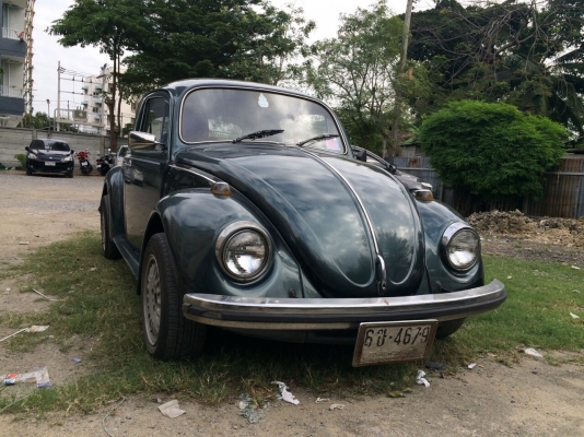 ขายเต่า1970