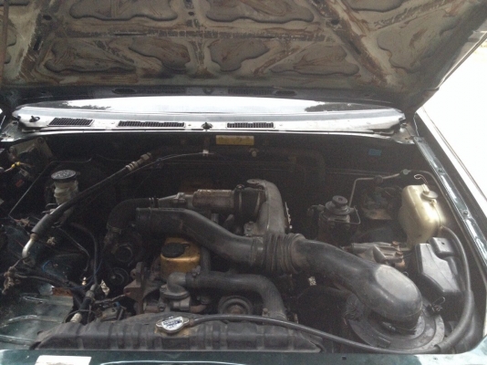 Isuzu dragon Isuzu dragon