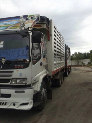 ขายอิซูซุ FXZ270 แม่ลูกพ่วงกะบะบรรทุกไม่ดั้ม รุ่นแม็กโหลดปี51 ราคา1,890,000บาท ราคาต่อรองได้ ขายอิซูซุ FXZ270 แม่ลูกพ่วงกะบะบรรทุกไม่ดั้ม รุ่นแม็กโหลดปี51 ราคา1,890,000บาท ราคาต่อรองได้