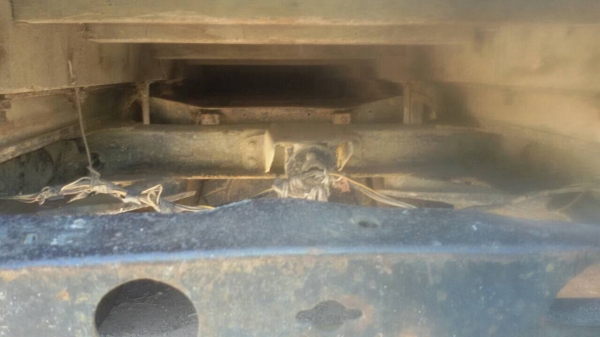 ((ขาย 98,000))6 ล้อสภาพดีพร้อมใช้งาน โตโยต้า BU-3000. วางเครื่องเกียร์ อีซุ 100แรง 4BC2