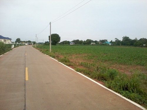 ขายที่ดิน  9-1- 49  ไร่ ติดถนนสาธารณะ วิวธรรมชาติสวย ราคา 260,000 บาทต่อไร่ อ.สีคิ้ว