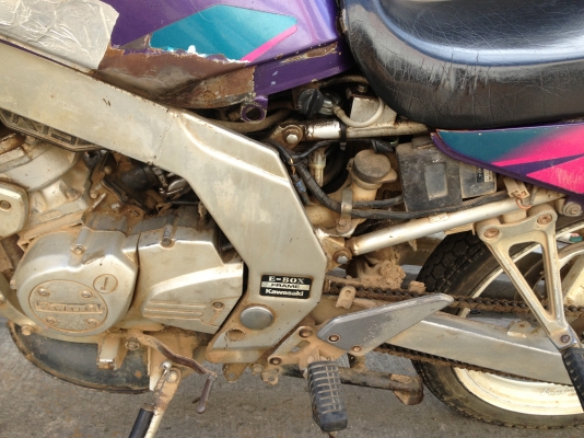 ขาย serpiko ขาย serpiko