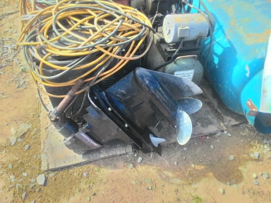 ขายหางสะเทรินไดร์