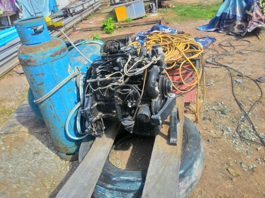 ขายหางสะเทรินไดร์