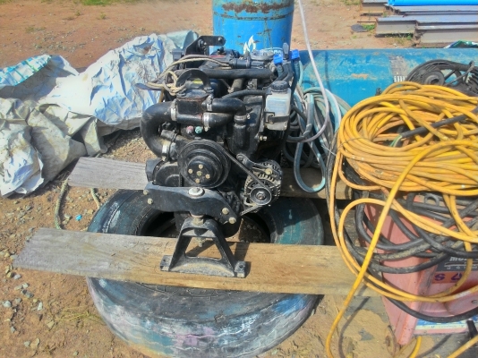 ขายหางสะเทรินไดร์