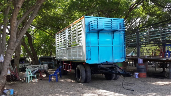 หางพ่วงคอกสูง