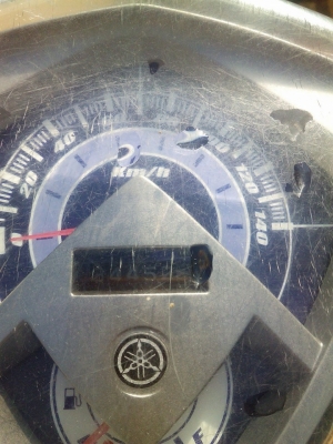 มีโอตาโต