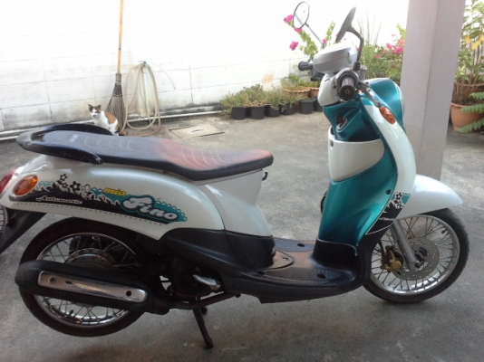 ขายยามาฮ่าฟีโน่ ขายยามาฮ่าฟีโน่