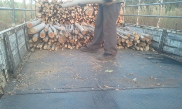 CANTER 140hpปี45เดิมๆมือเดียวแอร์พวงมลัยเพาเวอร์ฝาท้ายไฮรอลิค