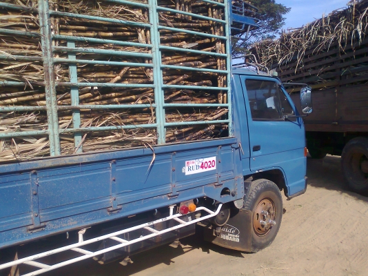 isuzu NPR115 ปี38 ยาว4.30ห้างแท้มือเดียวสีเดิมๆ-ขาย 450000 isuzu NPR115 ปี38 ยาว4.30ห้างแท้มือเดียวสีเดิมๆ-ขาย 450000