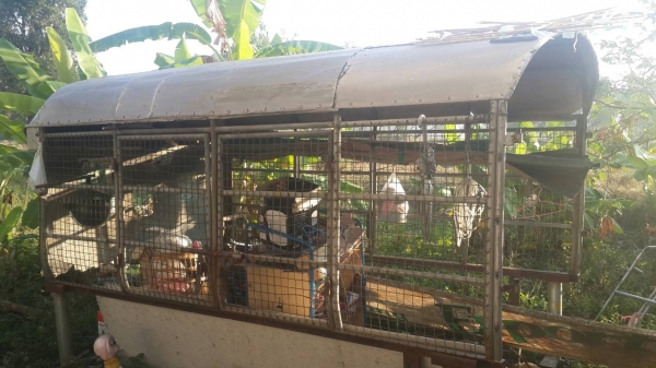 ขายด่วนหลังคาใส่ NKR 4ล้อ