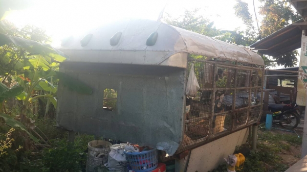 ขายด่วนหลังคาใส่ NKR 4ล้อ