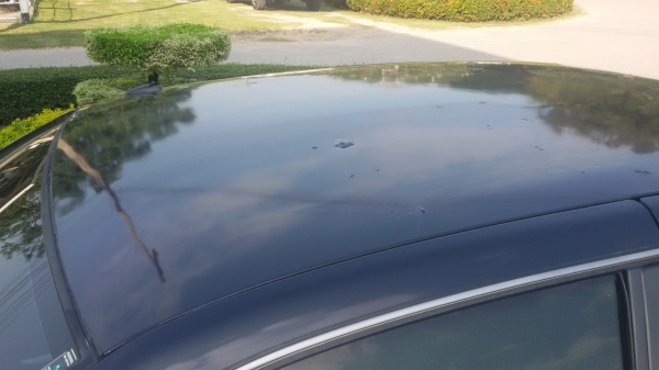 NISSAN SUNNY SALOON ปี95