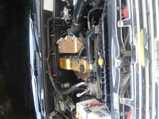 cameoเดิมๆสวยๆ cameoเดิมๆสวยๆ