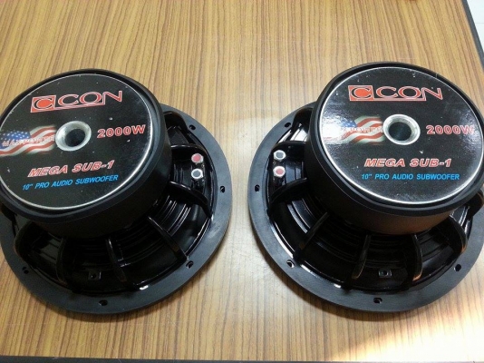 ซับ 10 นิ้ว