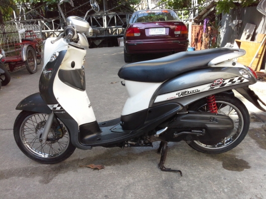 ขายฟีโน่ปี51