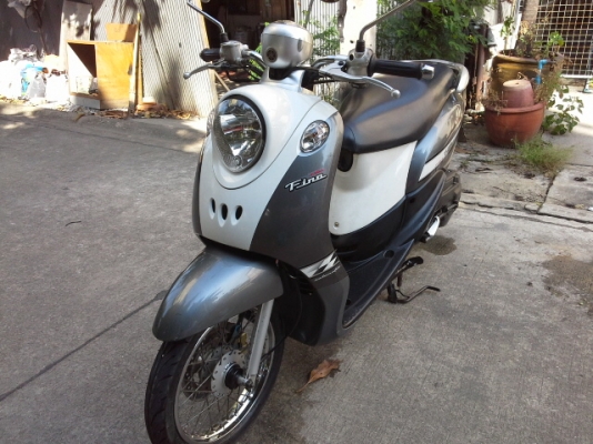 ขายฟีโน่ปี51 ขายฟีโน่ปี51