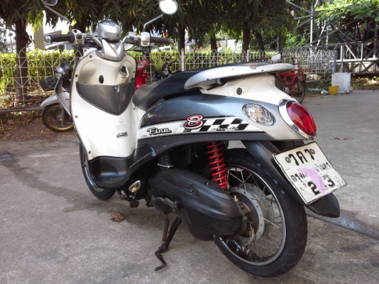 ขายฟีโน่ปี51 ขายฟีโน่ปี51