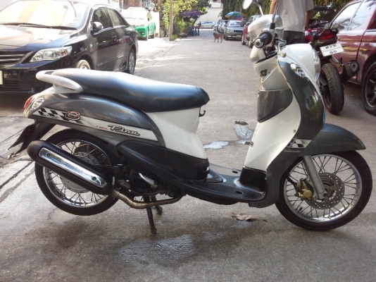 ขายฟีโน่ปี51 ขายฟีโน่ปี51