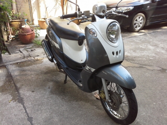 ขายฟีโน่ปี51 ขายฟีโน่ปี51