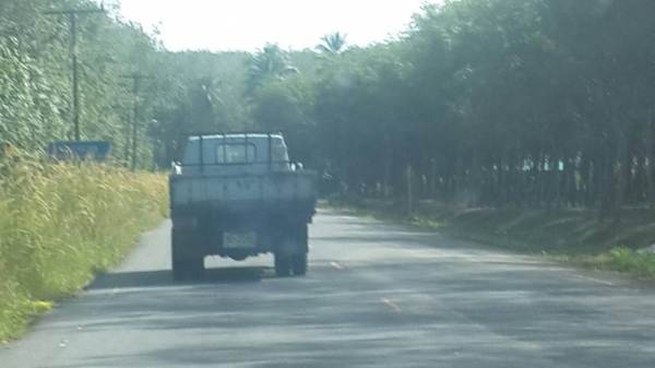 6ล้อ ISUZU NKR 110แรงม้า กะบะยาว 4.30ม รถคัทซีสวย เครื่องดี พร้อมใช้ 087-2976734