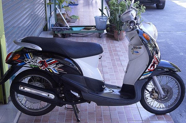 ฟีโนสวย เดิมๆ เครื่องดี ไม่ดังไม่หอน