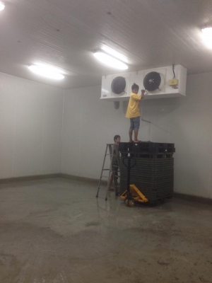 รับติดตั้งห้องเย็น-ย้าย-รื้อ จำหน่ายอุปกรณ์ห้องเย็นมือ2