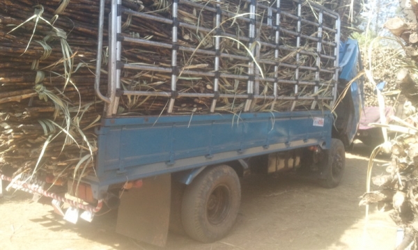 ขายisuzu 115 NPR 59Lห้างแท้Fหน้าFหลังปี40เครืองแน่น