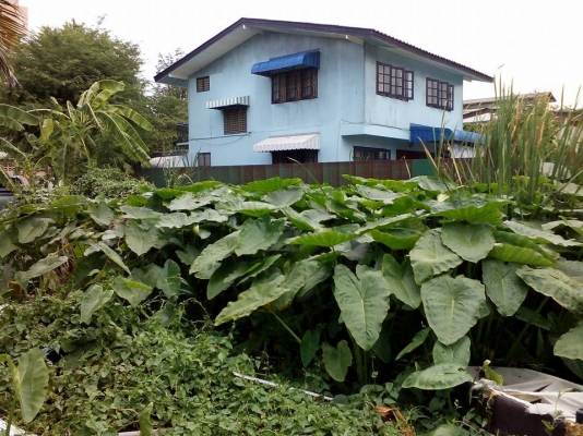 ยกเลิกประกาศ