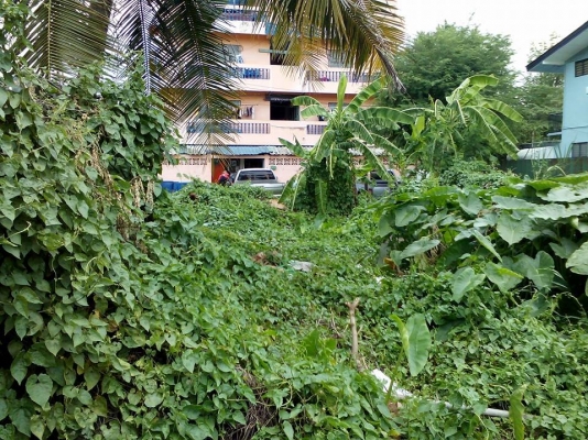 ยกเลิกประกาศ