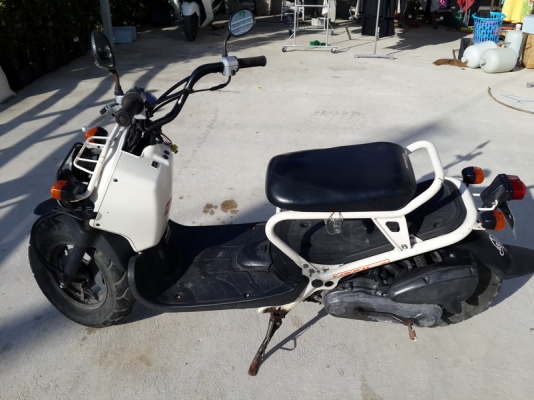 ขาย zoomer 50 cc สตาร์ทมือ เท้า ขี่ได้ปกติ เอาไปแต่งได้ สนใจติดต่อ 0876113377  รถอยู่บางปะกง ฉะเชิงเทรา  ขาย 17000 บาท