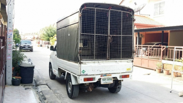 รถพร้อมใช้ เหมาะบรรทุก ราคาถูก