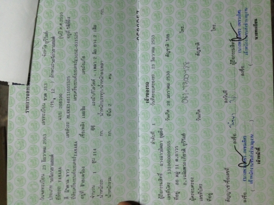 ขายด่วน fino ขายด่วน fino