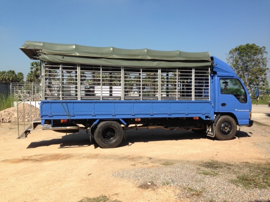 ISUZU NPR ปี 2548 ยาว 5 เมตร เครื่อง 130 แรงเทอร์โบ กะบะคาโก้ คอกเหล็กแป๊ปน้ำ ISUZU NPR ปี 2548 ยาว 5 เมตร เครื่อง 130 แรงเทอร์โบ กะบะคาโก้ คอกเหล็กแป๊ปน้ำ