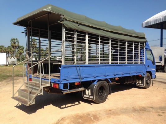 ISUZU NPR ปี 2548 ยาว 5 เมตร เครื่อง 130 แรงเทอร์โบ กะบะคาโก้ คอกเหล็กแป๊ปน้ำ ISUZU NPR ปี 2548 ยาว 5 เมตร เครื่อง 130 แรงเทอร์โบ กะบะคาโก้ คอกเหล็กแป๊ปน้ำ