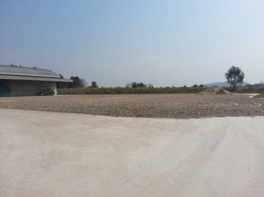 ขายด่วนที่ดินพร้อมลาน..กิจการทำต่อได้เลย29ล้านต่อรอง ขายด่วนที่ดินพร้อมลาน..กิจการทำต่อได้เลย29ล้านต่อรอง