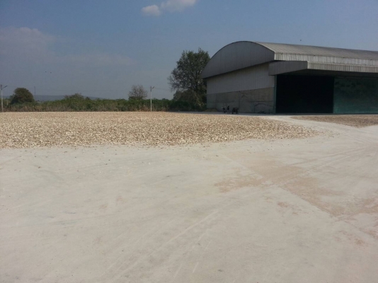 ขายด่วนที่ดินพร้อมลาน..กิจการทำต่อได้เลย29ล้านต่อรอง ขายด่วนที่ดินพร้อมลาน..กิจการทำต่อได้เลย29ล้านต่อรอง