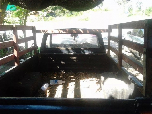 ขายมาสด้าแฟมมิลี่