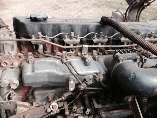 ขาย195rockyนางฟ้า